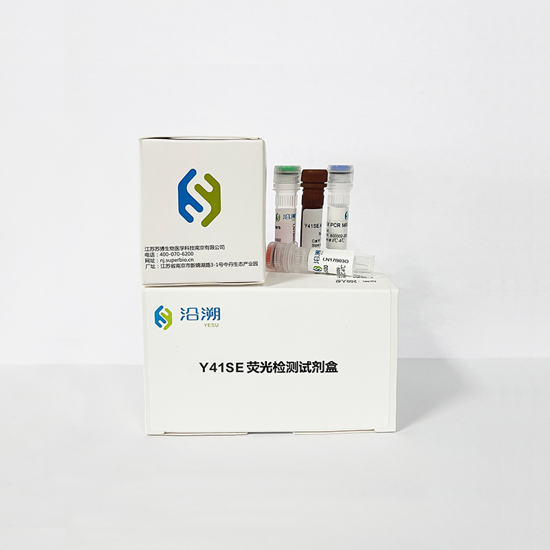Y41SE